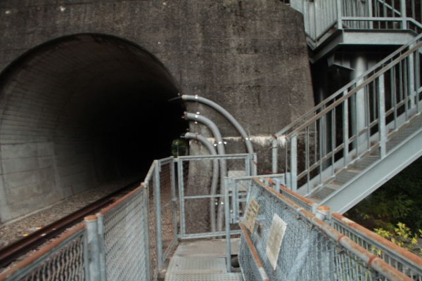 心なごむ奥大井 19 奥大井湖上駅 3 レインボーブリッジ展望台 Elle と Riki の旅行情報