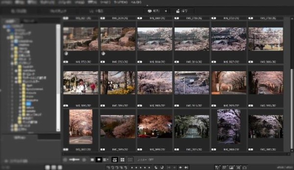 シャキっ とした写真を目指して 12 後処理で仕上げ Elle と Riki の旅行情報