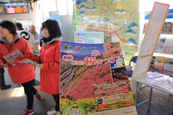 シャキっ とした写真を目指して 4 まつだ桜まつり Elle と Riki の旅行情報