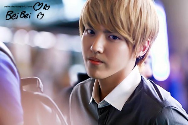 統計をとるためのexo紹介 Exo M You Re My Melody