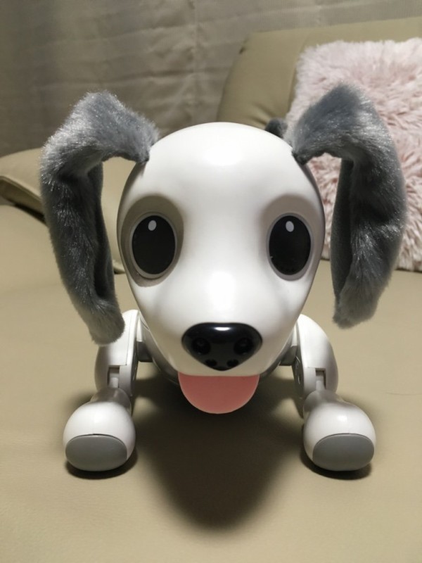 犬型ロボットハローズーマーがやってきた ちいさなおうち Powered By ライブドアブログ