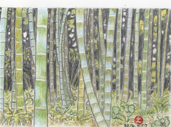 暑中見舞い 恵美子さんのひとり言