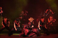 早乙女太一が華麗に舞い、自分の影と切り結ぶ『龍と牡丹 2012』 : 観劇予報