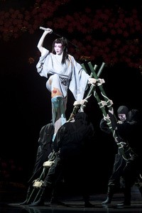 星組公演フォト・レビュー『宝塚 花の踊り絵巻ー秋の踊りー』 : 宝塚