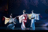 星組公演フォト・レビュー『宝塚 花の踊り絵巻ー秋の踊りー』 : 宝塚