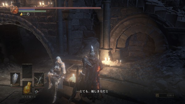 カーサスの地下墓から燻りの湖 覇王ウォルニール 一周目 とあるポーンの手記 ゲームプレイ日記 カーサスの地下墓から燻りの湖 覇王ウォルニール 一周目 とあるポーンの手記 ゲームプレイ日記