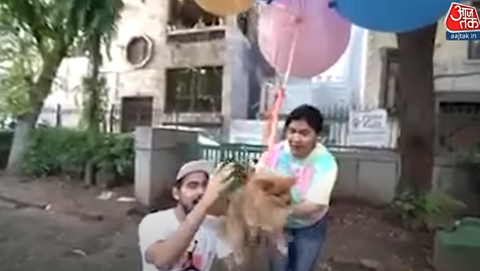 インド人youtuber ペットの犬を風船で飛ばす 虐待だ と批判殺到し逮捕される 動画あり 炎上まとめ 炎joy