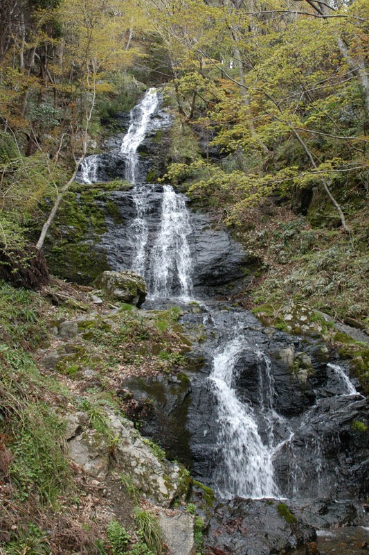 津山の名所 横野の滝 もみじ亭リニューアル 津山の地域情報 観光 イベント 津山の地域情報 観光 イベントなど