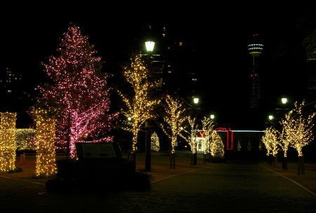 Sweet Memory In アメリカ山公園 Enjoy Yokohama 横浜ブログ