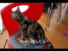 宇宙戦艦ニャマト 吾輩は猫かもしれない 小説家ノふまじめ日記 佐藤信豪