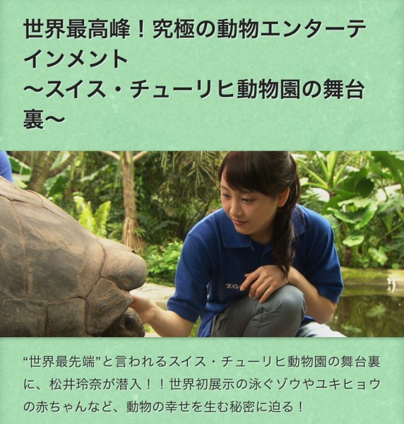 チューリヒ動物園が 日本のテレビの特番で放送されます スイスの街角から