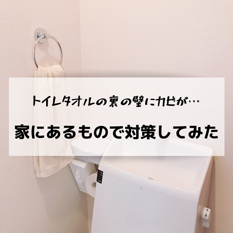 トイレ 衝撃 タオル裏の壁にカビが 簡単な方法で対策してみた えりゐのｅｖｅｒｙ ｄｉａｒｙ Powered By ライブドアブログ