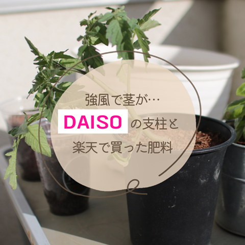 ミニひょうたん100個セットAA-4