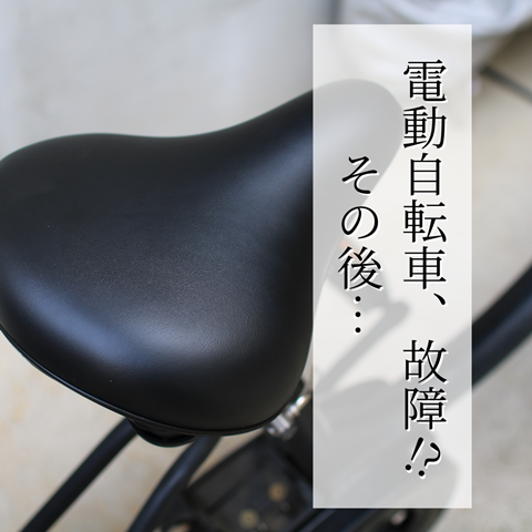 困った…電動自転車のペダルが空回りして漕げない！ : えりゐのＥｖｅＲｙ ｄｉａＲｙ Powered by ライブドアブログ