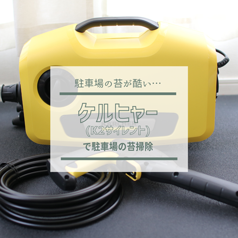 駐車場の苔が酷いんだ 悩 ケルヒャー で苔退治 ビフォーアフター えりゐのｅｖｅｒｙ ｄｉａｒｙ Powered By ライブドアブログ