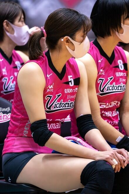 女子バレーボール パン線