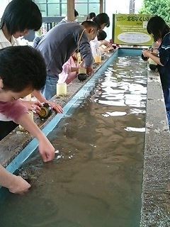 宝石すくい取り おでかけ倶楽部