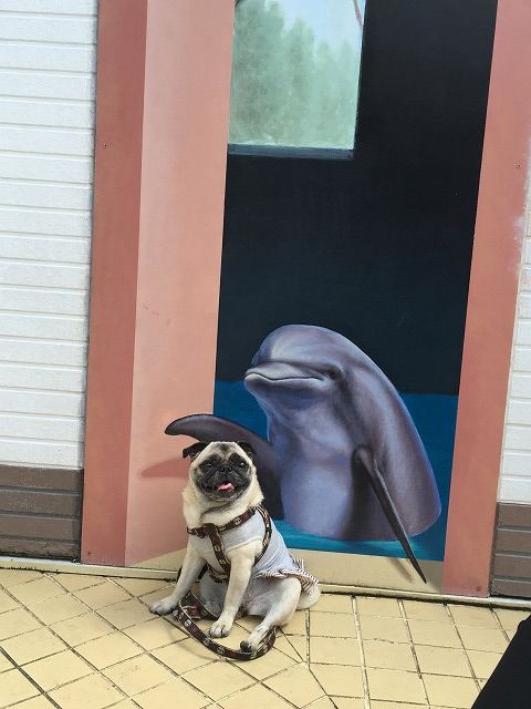 那須旅行 トリックアートで面白写真 ハッチャケイヴとおっとりとわの元気日記