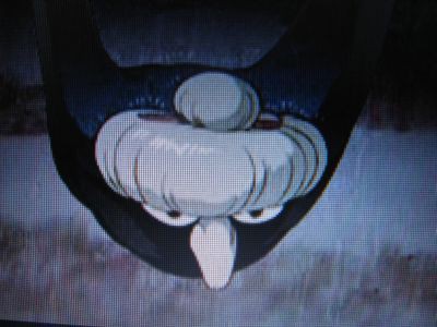 湯婆婆が変化する怪鳥のような着物用ポンチョが欲しくて作った Evelog