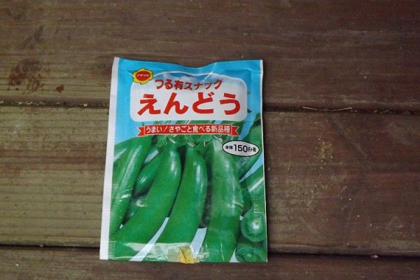 スナップエンドウの定植 播種から発芽まで 毎日が日曜 晴耕雨読な日々 スナップエンドウの定植 播種から発芽まで 毎日が日曜 晴耕雨読な日々