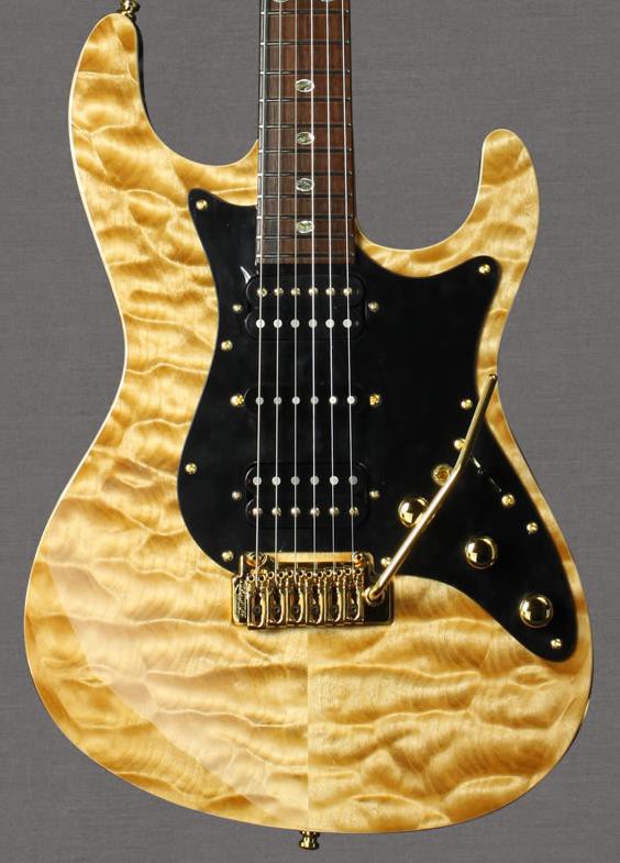 Freedom Custom Guitar Research Hydra : 1625 Studio