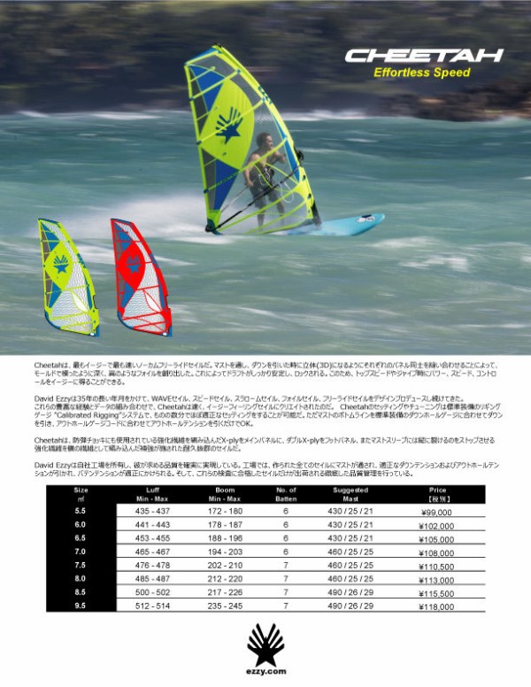 Ezzy Hydra 6.0 ウインドサーフィン セイル