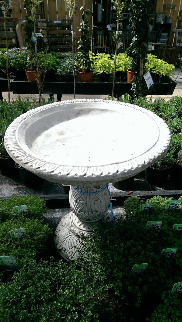 バードバス探しの結末は 新たな問題が おとぎの国のガーデナー