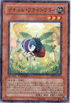 遊戯王 マイナーカードを強引に評価 ｎｏ ３４ 電算機獣テラ バイト ファンデッキの巣窟 遊戯王マイナーデッキまとめ