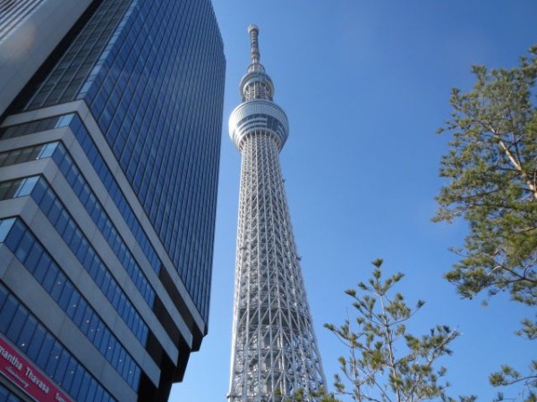 そば遊膳 いちりきや のスカイツリーそば大盛り 東京刺激クラブ