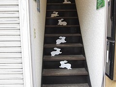 うさぎの絵本 東京刺激クラブ