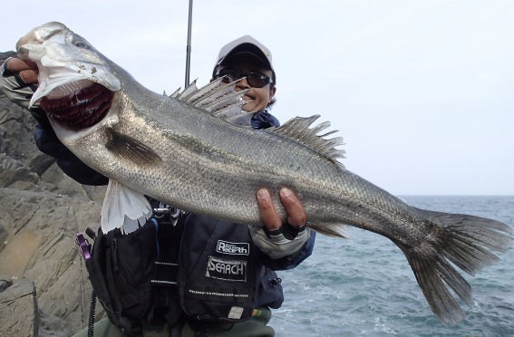 磯マル Inみやぎ Fishing Club Search Report