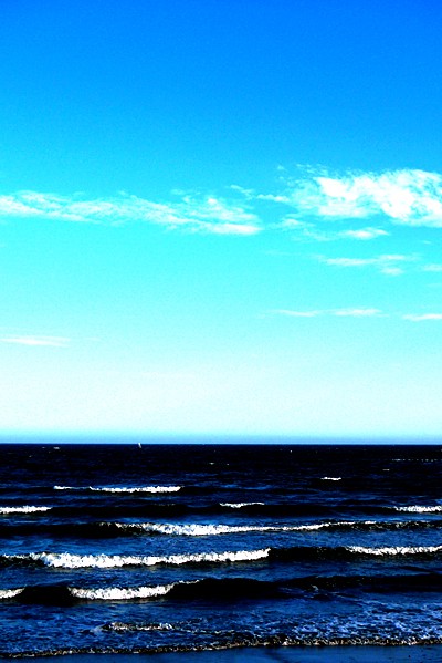 いざ鎌倉 お買い物 Birdwell Ivory Ferocious