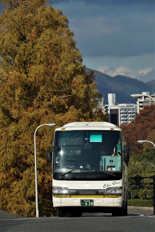 21218bb9-s.jpg
