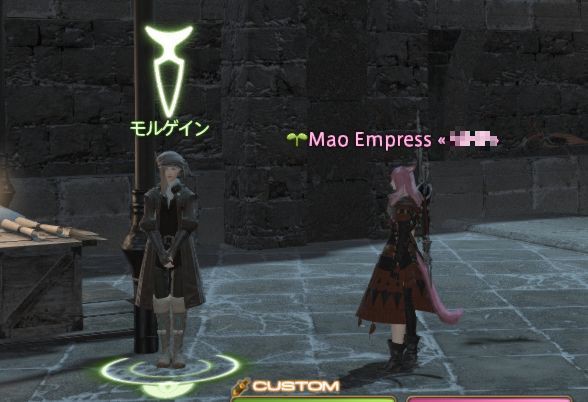 Ff14 Lv50になったら その３ 収集品 令和元年 Ff14始めました