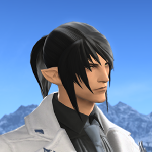Ff14 ハイポニーテール ラフポニーテールについてヒカセン達の反応と入手方法 注意点 Ff14みんなの反応