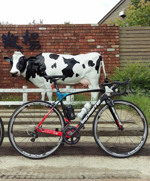 LAPIERRE（ラピエール）Xelius SL（ゼリウス）インプレ ヒルクライム