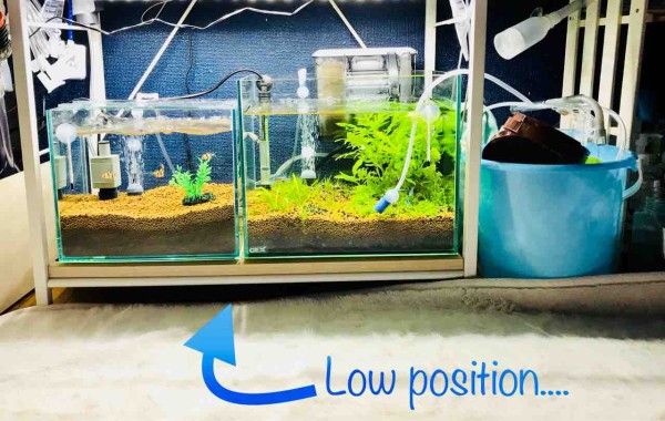 底上げ台 水槽台 アクアリウム DIY 30cm水槽 DIY】水槽台をDIY 底上げ台 水槽台 アクアリウム DIY 30cm水槽 DIY】水槽台をDIY