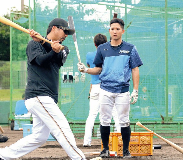 ワイちなハム 小笠原コーチ人気についていけない ファイターズ王国 日ハムまとめブログ