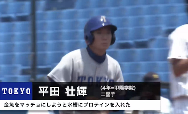 悲報 野球部大学生 水槽の水にプロテイン溶かしたら金魚めっちゃムキムキになるんちゃうか ポリー速報 悲報 野球部大学生 水槽の水にプロテイン溶かしたら金魚めっちゃムキムキになるんちゃうか ポリー速報