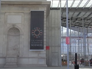 カリフォルニア科学アカデミー California Academy Of Sciences Franklin Filbert