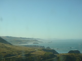 アワビ捕り Franklin Filbert