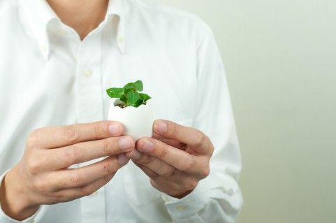 Ledは日焼けしない 株式会社ファーストディグリーの社員ブログ Ledは日焼けしない 株式会社ファーストディグリーの社員ブログ