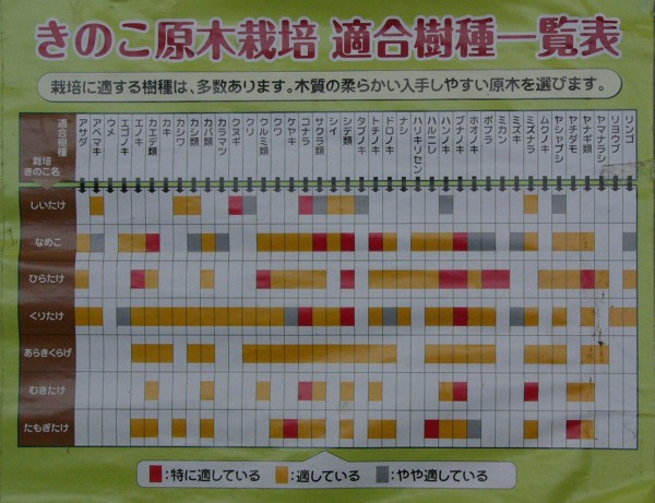 キノコの為の原木一覧 ランダムトークとロト６予想