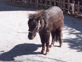 神田明神の あかりちゃん ってご存知 御茶ノ水界隈 ファイブワンより愛をこめて