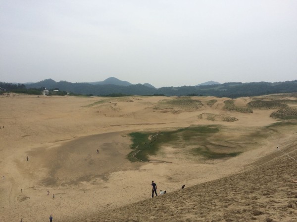 本当に 砂丘だけなの 鳥取県 鳥取砂丘散策 鳥取が誇る観光名所 鳥取県鳥取市 散策びより