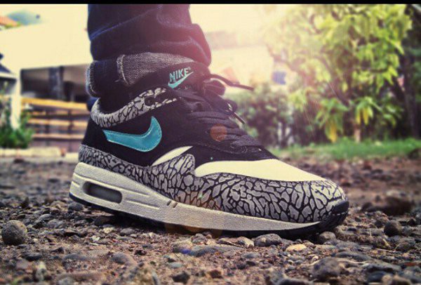 3 18 発売予定 Nike Air Mam 1 Atmos Elephant Flexxx