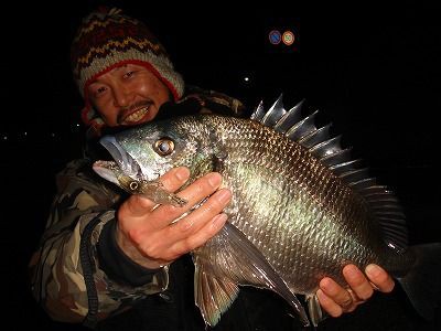 富山湾ホタルイカパターン 釣り方解説 13 前編 フラッター日誌