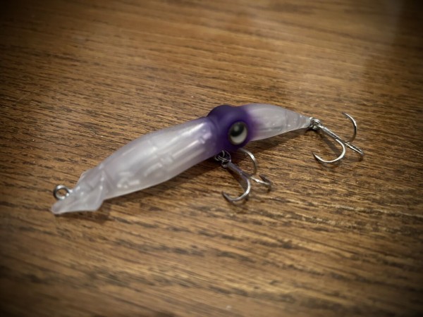 2024 ズィークイッド全色単体写真！ : フラッター日誌