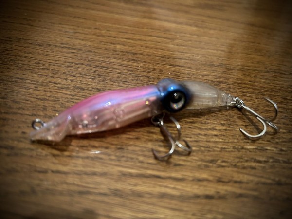 ズィークイッド　21個 2024 ズィークイッド全色単体写真！ : フラッター日誌