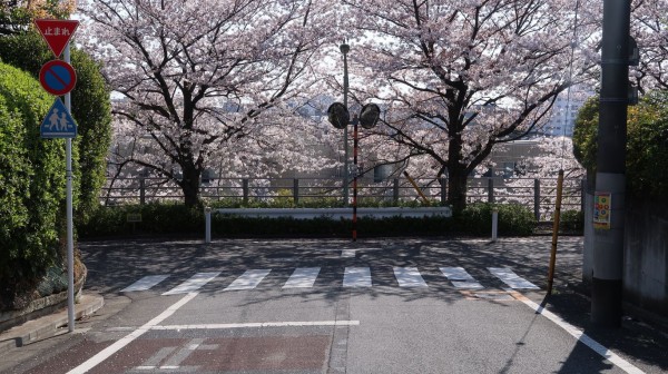 フルーツバスケット 聖地巡礼 田園調布 多摩川 武蔵小杉 二子玉川編 フラバーのふらふらアニメ聖地巡礼